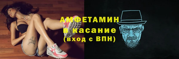 метадон Богданович