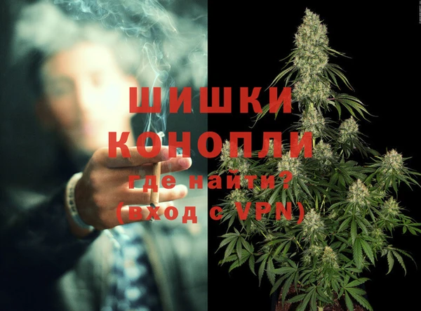 шишки Горнозаводск