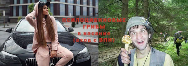 метадон Богданович