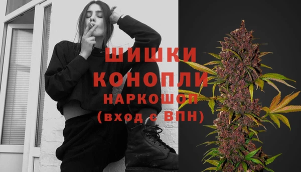 метадон Богданович