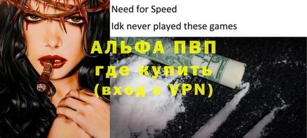 метадон Богданович