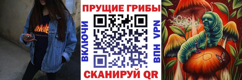 Псилоцибиновые грибы GOLDEN TEACHER  цена наркотик  Оренбург 